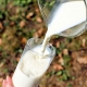 vaso leche alimentos andalucia