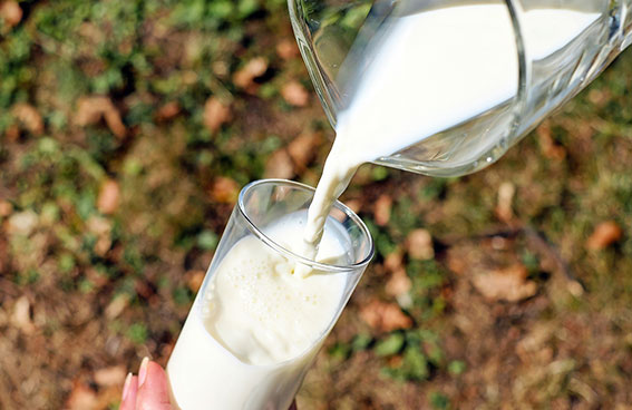 vaso leche alimentos andalucia