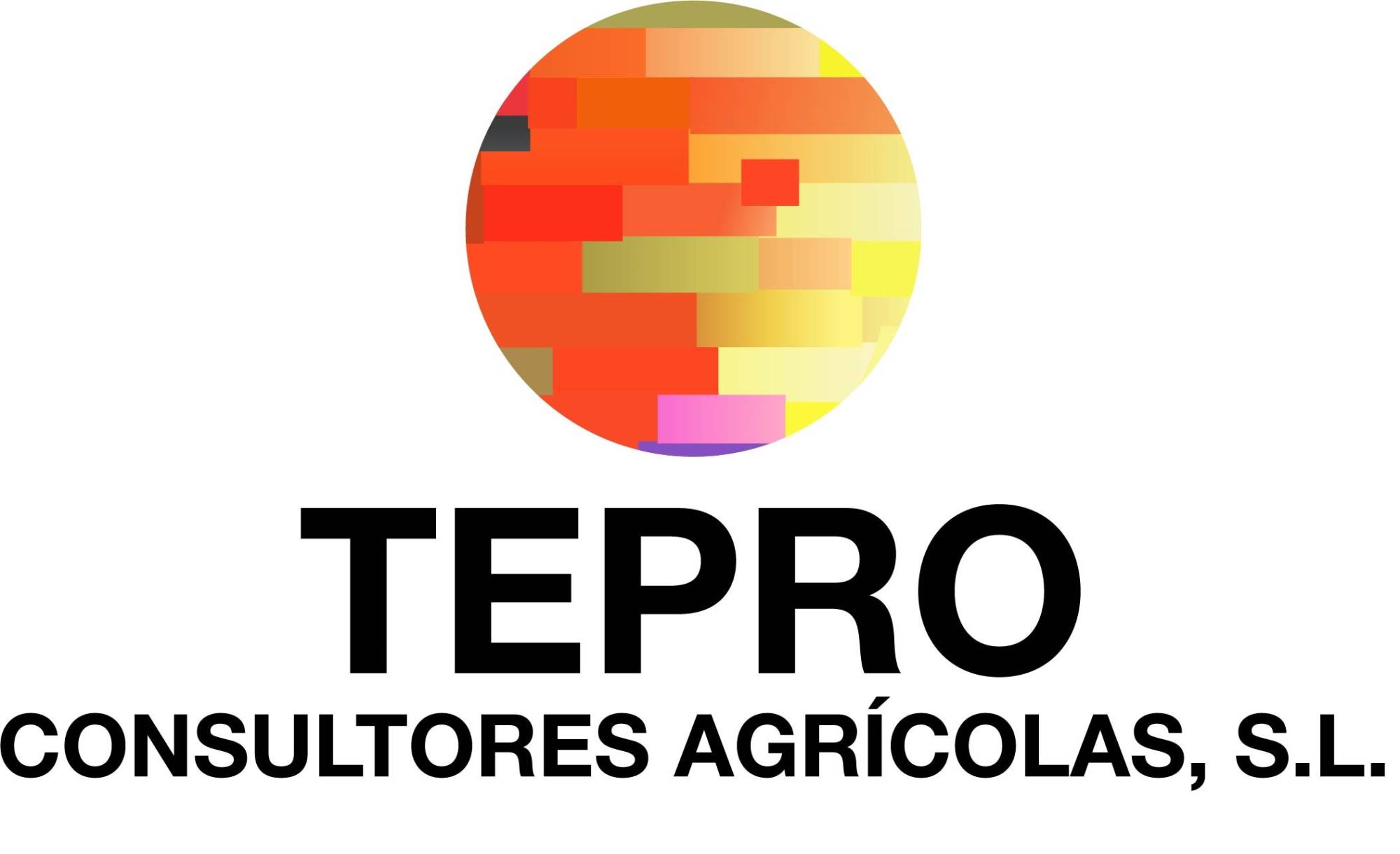 logo TEPRO vectorizado 1 1