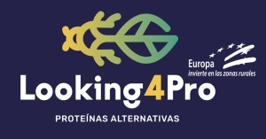 Logo de Looking4Pro